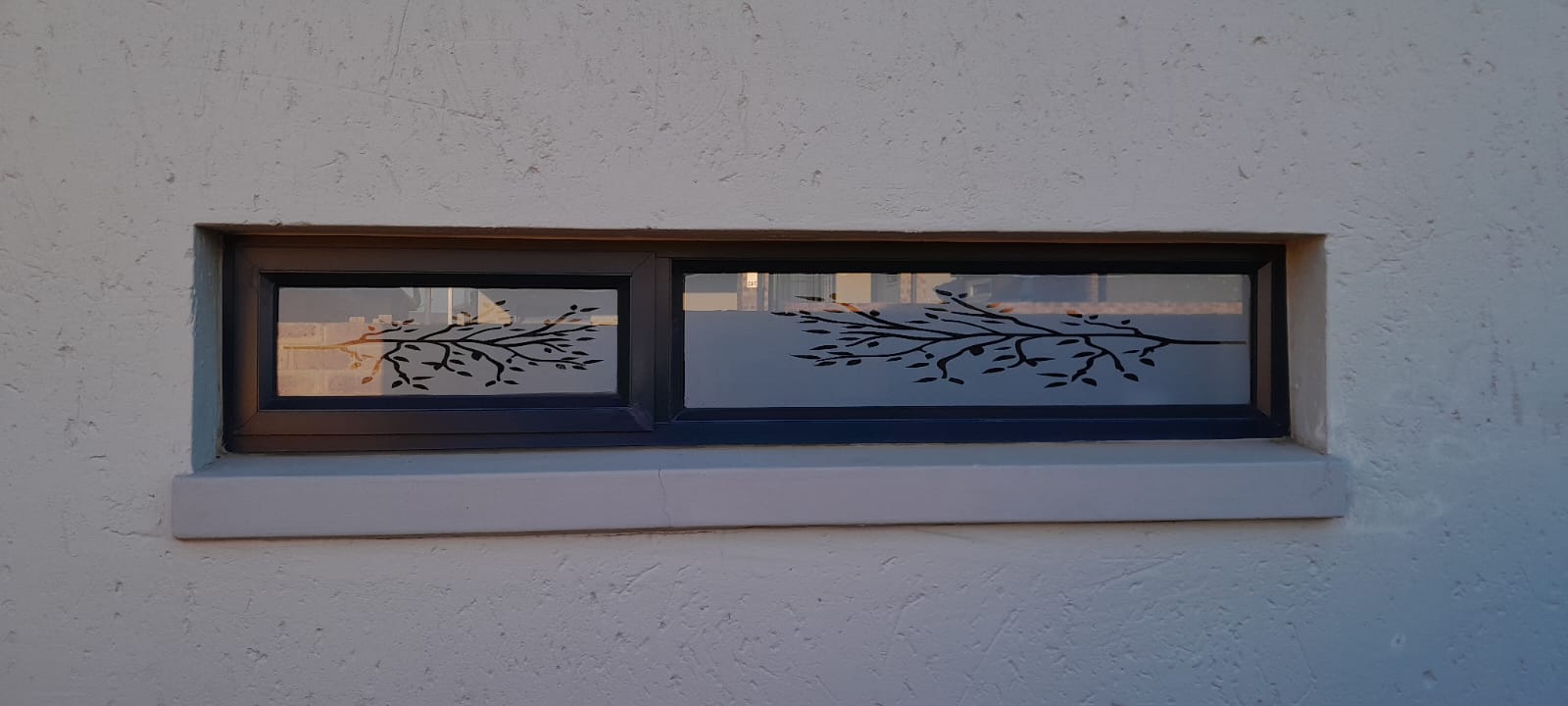Window Frosting
